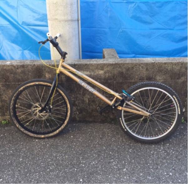 24インチ バイクトライアル BECAUSE COLOR 24 ストリートトライアル 自転車