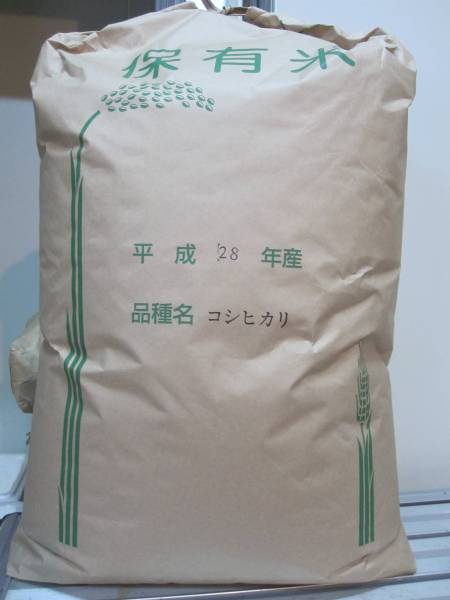 コシヒカリ 玄米 玄米30kg 30kg おこめ : 令和7年度産 新米 兵庫県産 精米