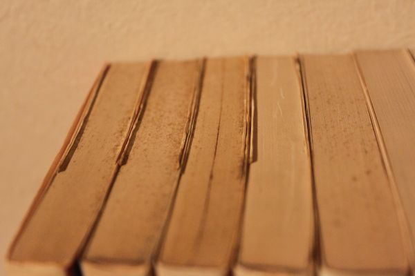 珍品「α波誘導装置アルファコイル：O型コイル×2付属：日本超科学会