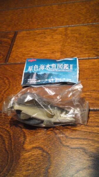 ヤナギデメキン 原色鑑賞魚図鑑 シークレット Amazon | 原色鑑賞魚図鑑 Ⅰ 1 改訂増補版 初版 ヤナギデメキン 柳出目
