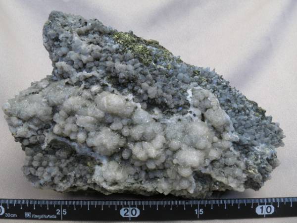 s514893627.1
