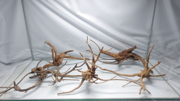 A-STYLE ブラウンブランチ流木 Mサイズ 5個 アク抜き済 No5　定600