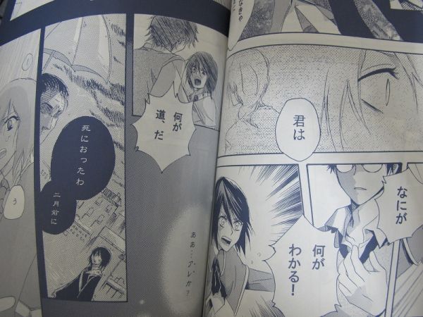 ハリーポッター 56p長編 Noctiluca ジェスネ Kcp こまん 小説 売買されたオークション情報 Yahooの商品情報をアーカイブ公開 オークファン Aucfan Com
