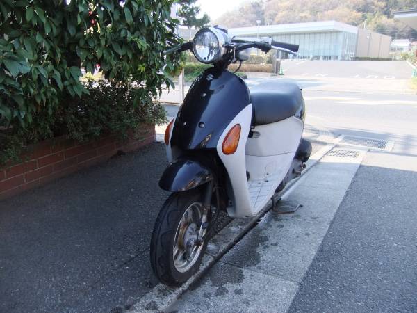 t534718975.1