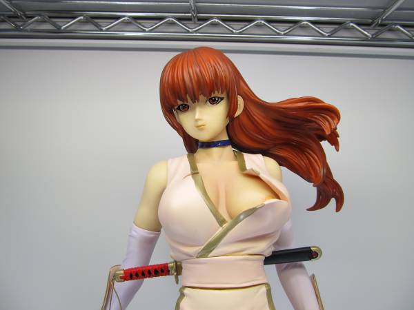 □DEAD OR ALIVE デッド オア アライブ かすみ 霞 ガレージキット完成