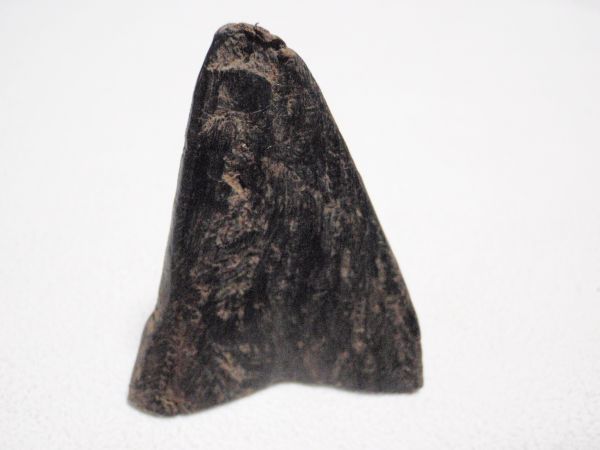 d252299483.2