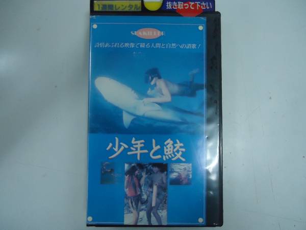 中古VHS】 少年と鮫 字幕スーパー b-7
