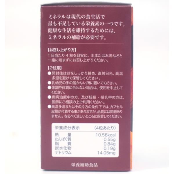 サンクスアイ ハイブリッドミネラルアイ 120粒 中古 A396 60 サンクスアイ ハイブリッドミネラルアイ 120粒 中古 A396 60