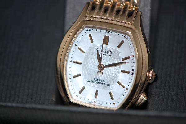 Citizen Eco Drive EXCEED シチズン エコドライブ 腕時計 H330-T008429