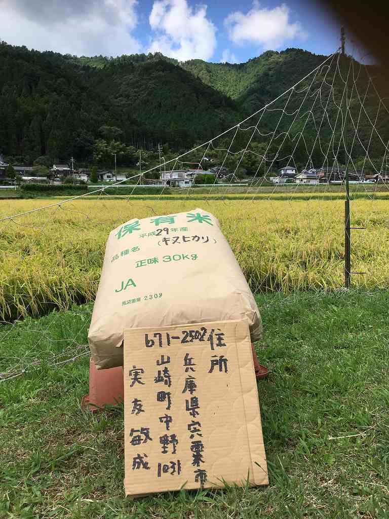 平成29年産＊ 新米｝＊兵庫県宍粟産キヌヒカリ玄米30kg