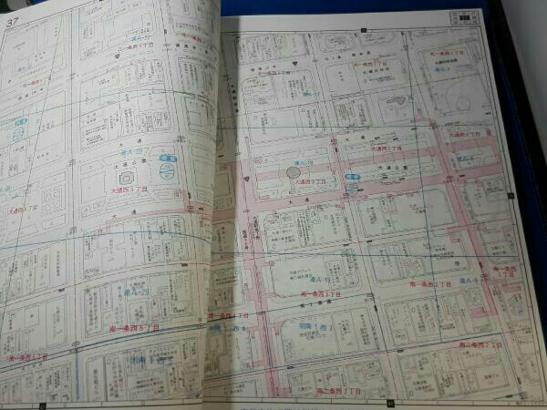 本 ブルーマップ BLUEMAP 住居表示地番対照住宅地図 所沢市 ゼンリン