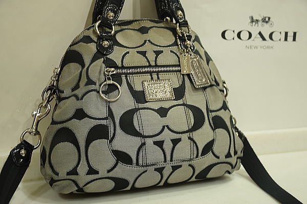 本物■コーチ■ポピー■メタリックシグネチャー■2wayハンドバッグ■ショルダーバッグ■1円/1スタ/赤字覚悟/爆安/完全売切/最落なし