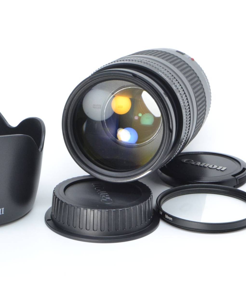 キヤノン一眼用 望遠レンズ EF75-300mm Canon 大迫力300mm_2