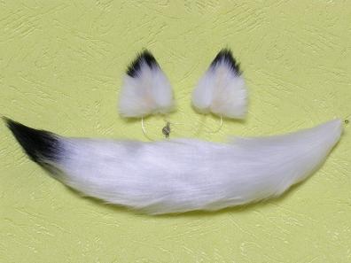 s534061324.1