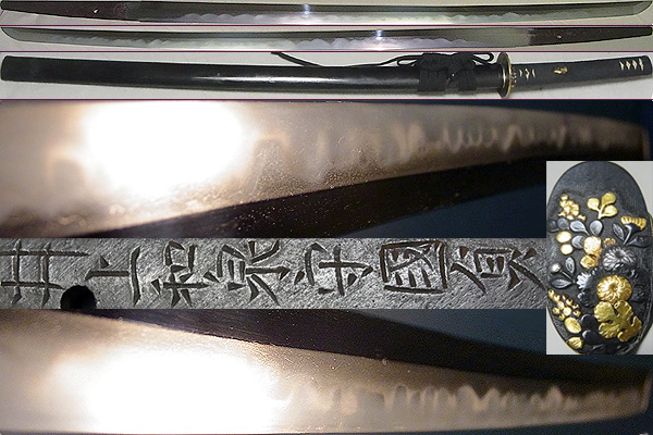 新刀横綱最上作 井上真改【井上和泉守国貞(菊紋)】焼刃深く/足入り/涛乱刃如く飛焼入り/湯走り砂流し入り匂い口締り刃明るく冴える 名作拵