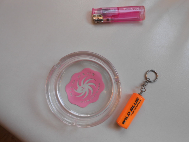 ワイルドブルー ヨコハマ 灰皿 キーホルダー プール レジャー施設 土産 店舗 飾り 雑貨 広告 ノベルティグッズ 売買されたオークション情報 Yahooの商品情報をアーカイブ公開 オークファン Aucfan Com