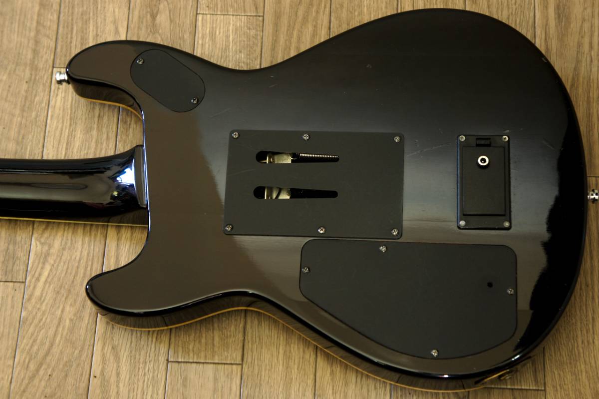 ☆即決 Fernandes APG-85S フルモードサスティナー搭載 【公式通販】