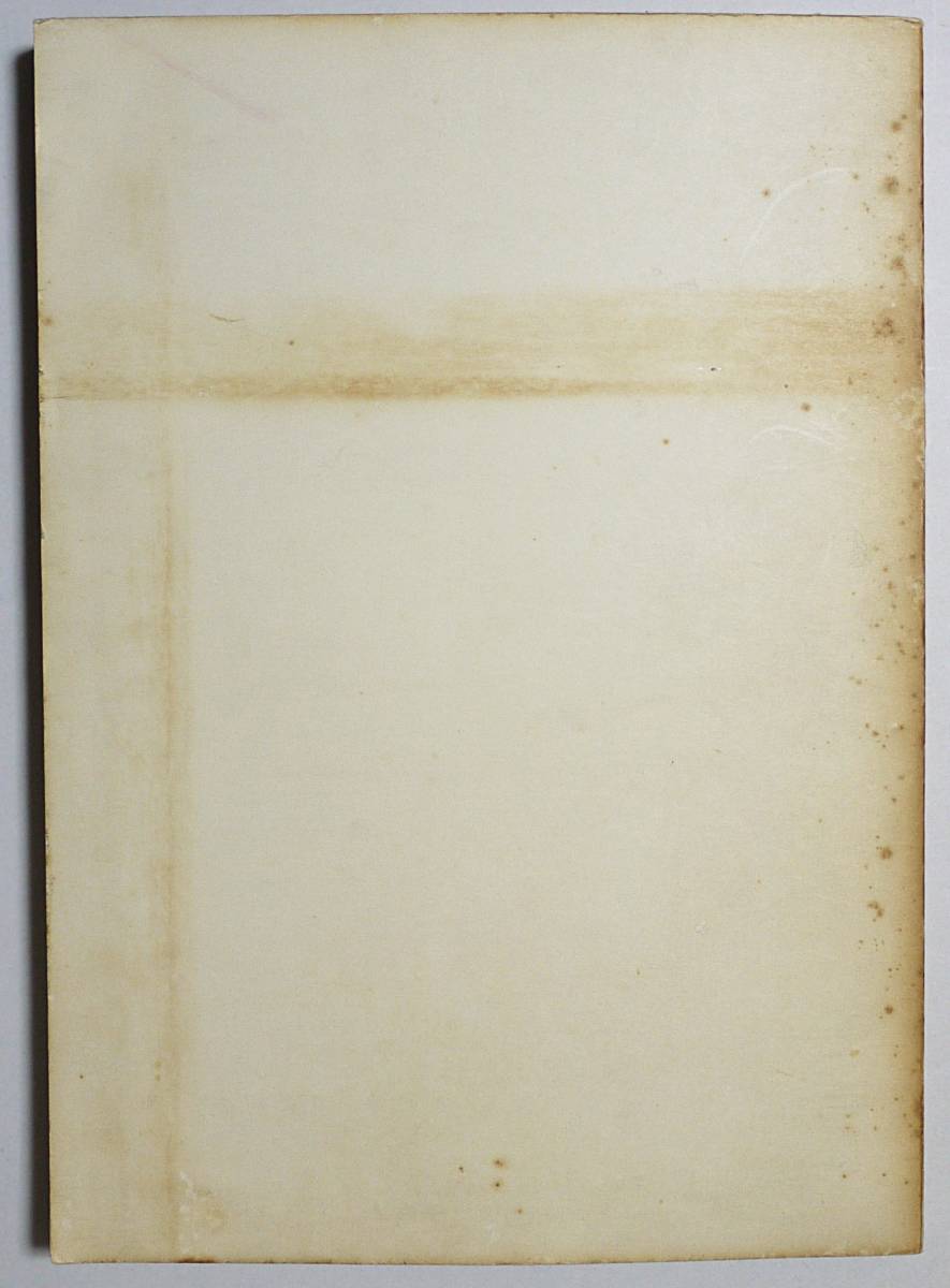 ■国宝 東照宮本殿・石之間・拝殿修理工事報告書 ●日光二社一寺文化財保存委員会編纂　蒔絵 彫刻 重要文化財 東照宮 久能山東照宮保存修理工事報告書「本殿・石の間・拝殿、唐 本殿、石の間及び拝殿、東照宮 － 和歌山市の文化財