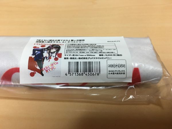 C87 冴えない彼女の育てかた 霞ヶ丘詩羽 深崎暮人描き下ろしA1タペストリー