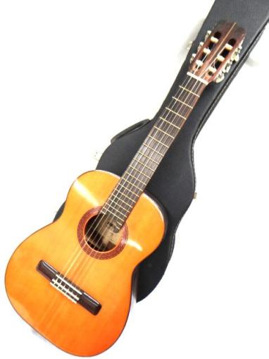 アリア Dreadnought ARIA D-50 by ()（ビンテージ）楽器検索デジマート 