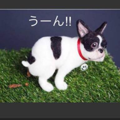 羊毛フェルト ハンドメイド いきむ犬 フレンチブルドック フレブル 犬