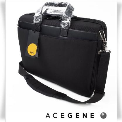 【極美品＊2way＊希少品】ace. ナイロン ビジネスバッグ Ace ナイロンバッグ ビジネスバッグ 2way ace - 極上美品 ACE エース