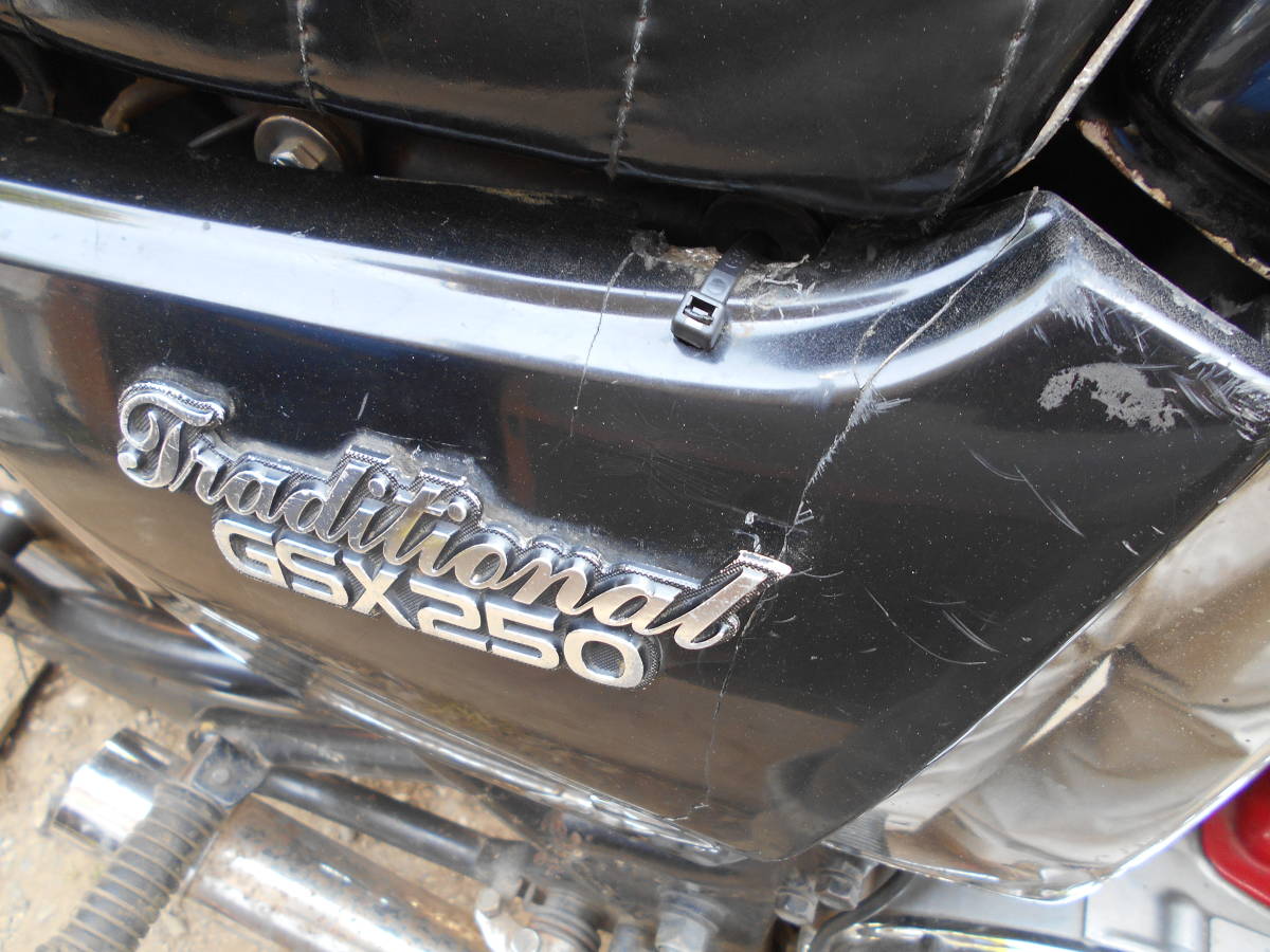 GSX250T GSX250L ザリ アメザリ GSX250E 【公式