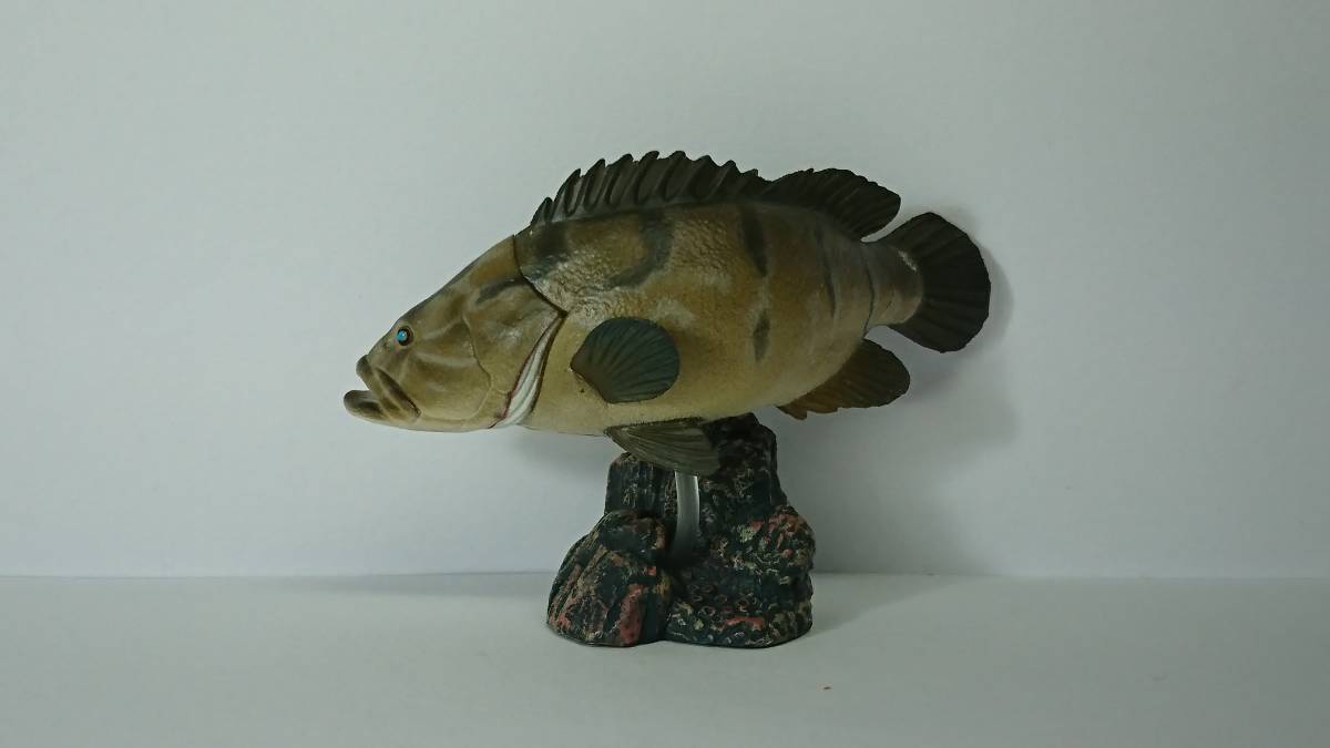 初版 原色海水魚図鑑Ⅱ 限定版 クエ（中古開封品）＊必ず商品説明をご覧になり、入札の判断をして下さい。_1