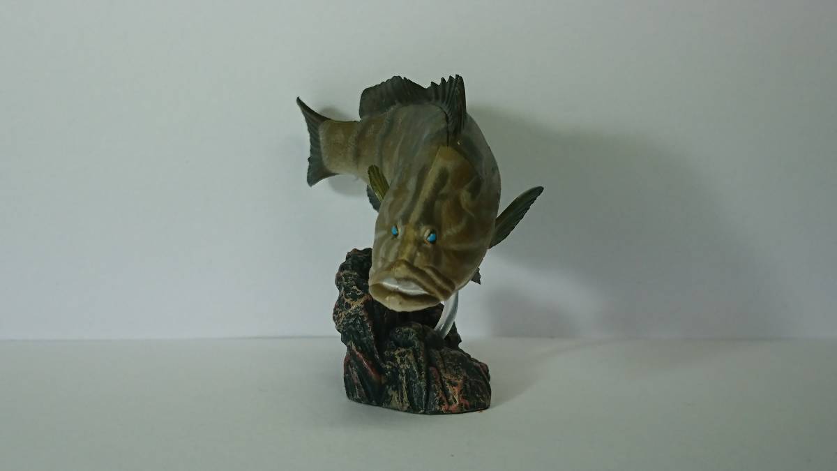 初版 原色海水魚図鑑Ⅱ 限定版 クエ（中古開封品）＊必ず商品説明をご覧になり、入札の判断をして下さい。_2