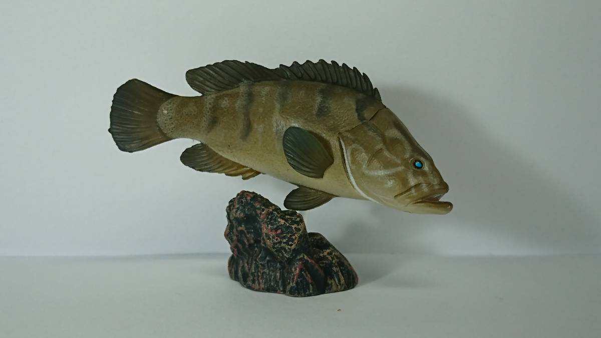 初版 原色海水魚図鑑Ⅱ 限定版 クエ（中古開封品）＊必ず商品説明をご覧になり、入札の判断をして下さい。_3