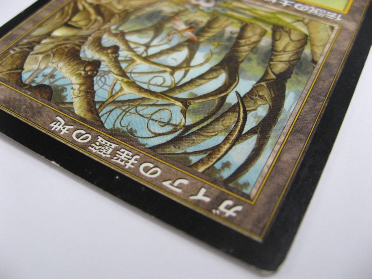 MTG MTG ガイアの揺籃の地/Gaea