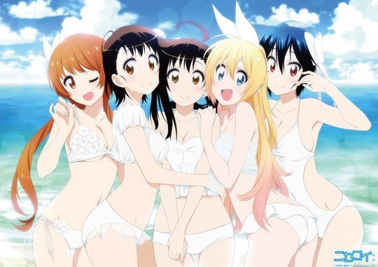 新品未開封 ニセコイ コミックマーケット C88 シャフト 限定 SUMMER タペストリー 東山奈央 花澤香菜 阿澄佳奈 佐倉綾音 ジャンプ 古味直志