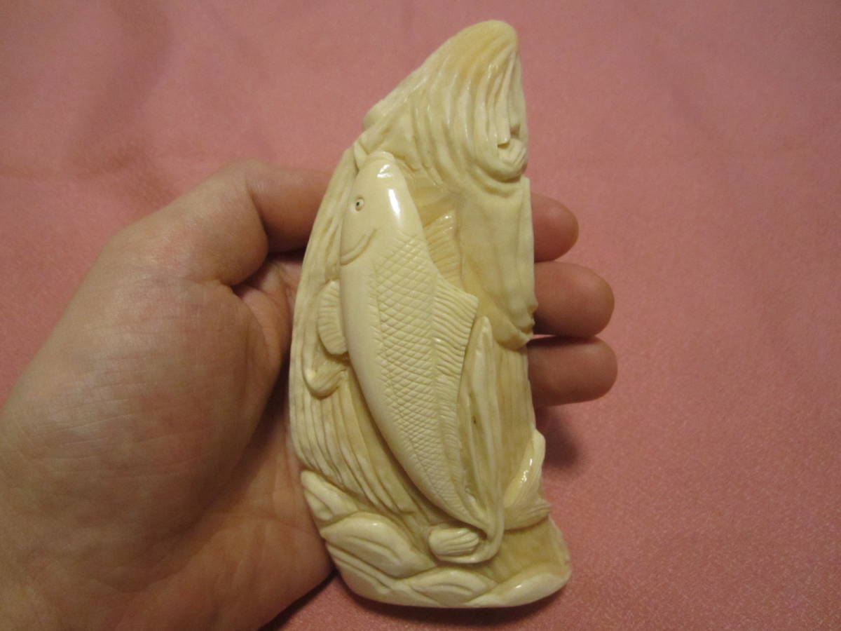 本物保証 綺麗 鯨の歯 マッコウ クジラ 鯉 彫刻 銘有り 抹香 鯨 歯