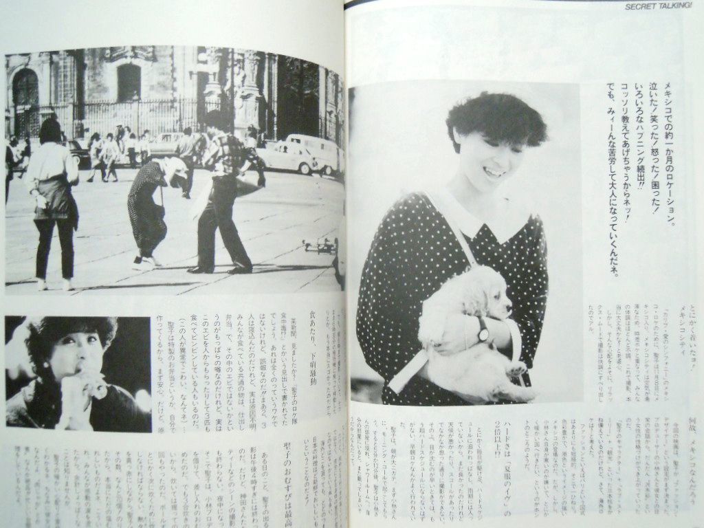 松田聖子 主演 カリブ愛のシンフォニー'85映画写真集/神田正輝の入札