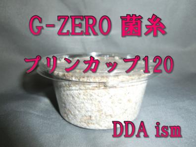 GCQvQwDbsAA9uk2