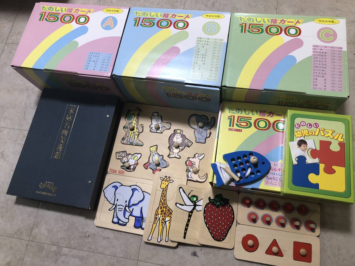 家庭保育園 ドッツカード 脳活性化訓練カード 書籍 DVD セット 第2教室