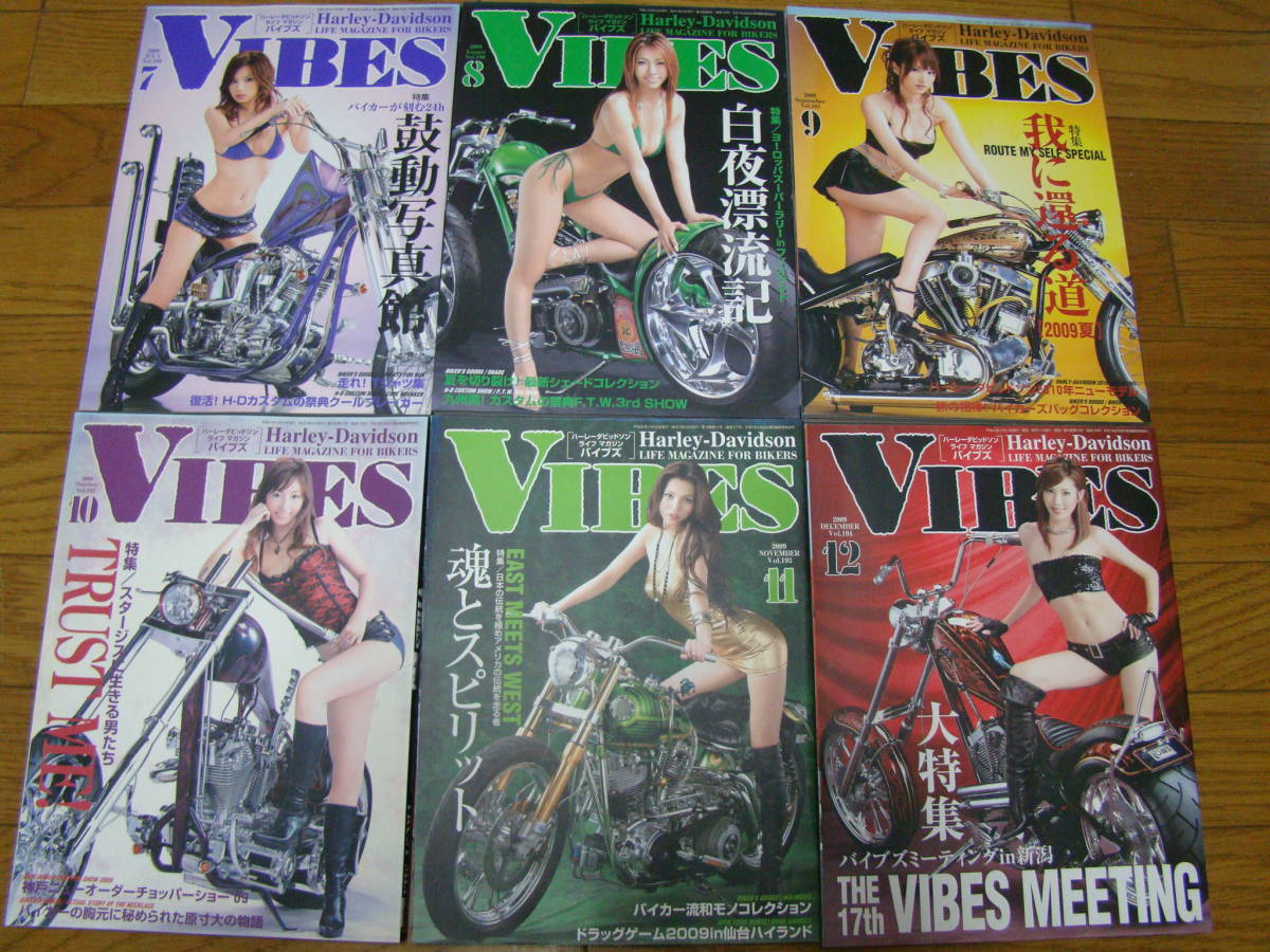 VIBES バイブズ 2009年 1年分 12冊セット 揃い バイブスショット