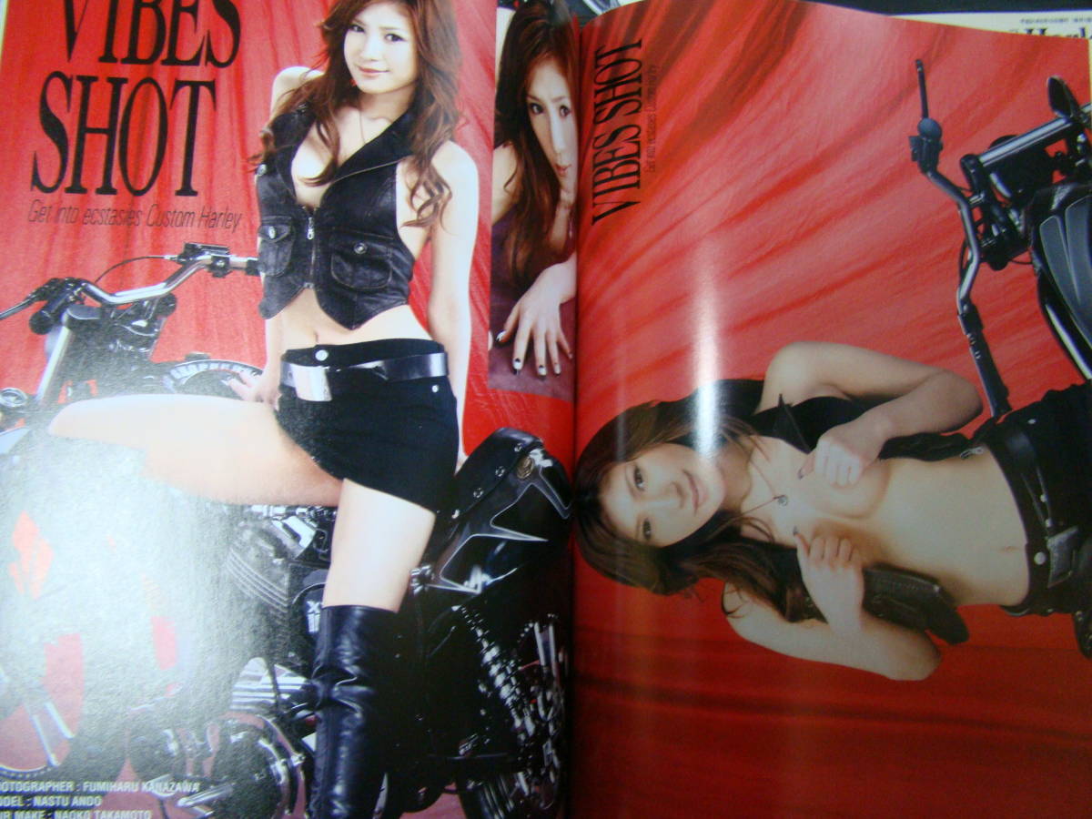 VIBES バイブズ 2009年 1年分 12冊セット 揃い バイブスショット