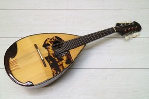 2018年10月｜Yahoo!オークション(旧ヤフオク!)のマンドリンの相場