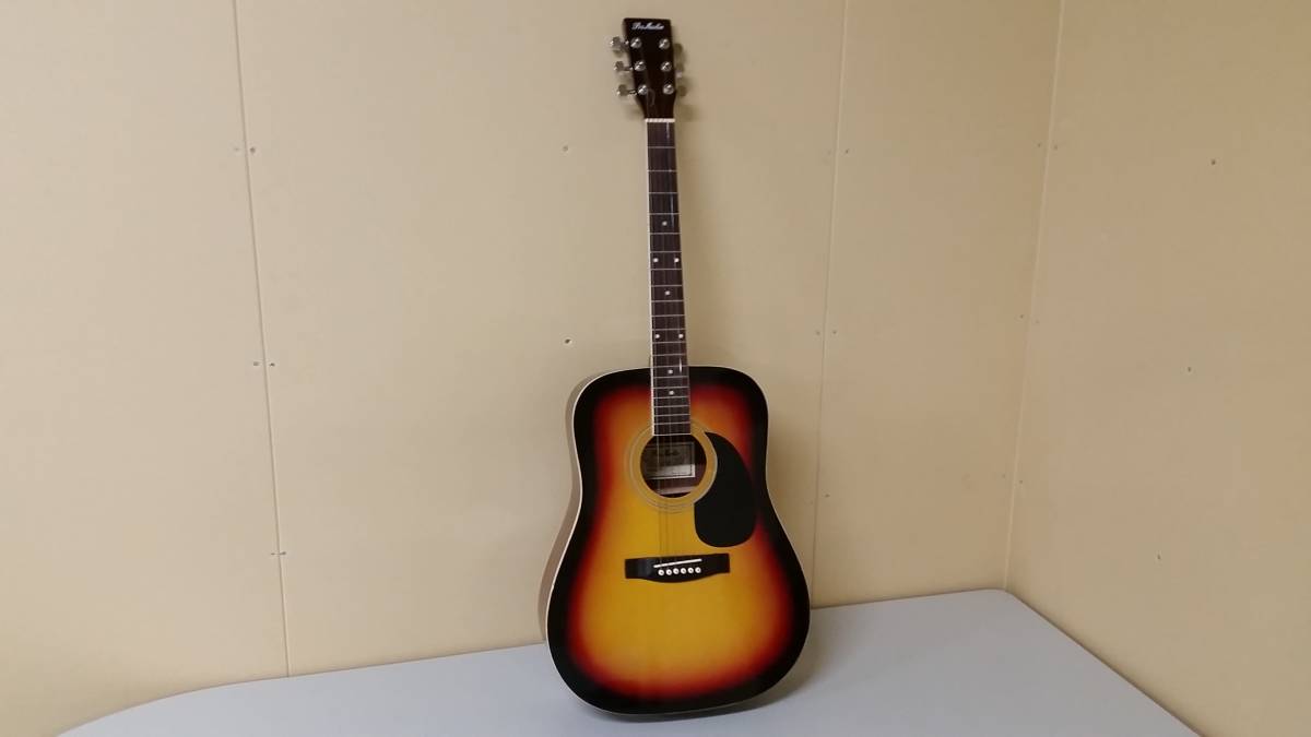 弦交換Pro Martin W-180 TS アコースティックギター 通販ホビー・楽器