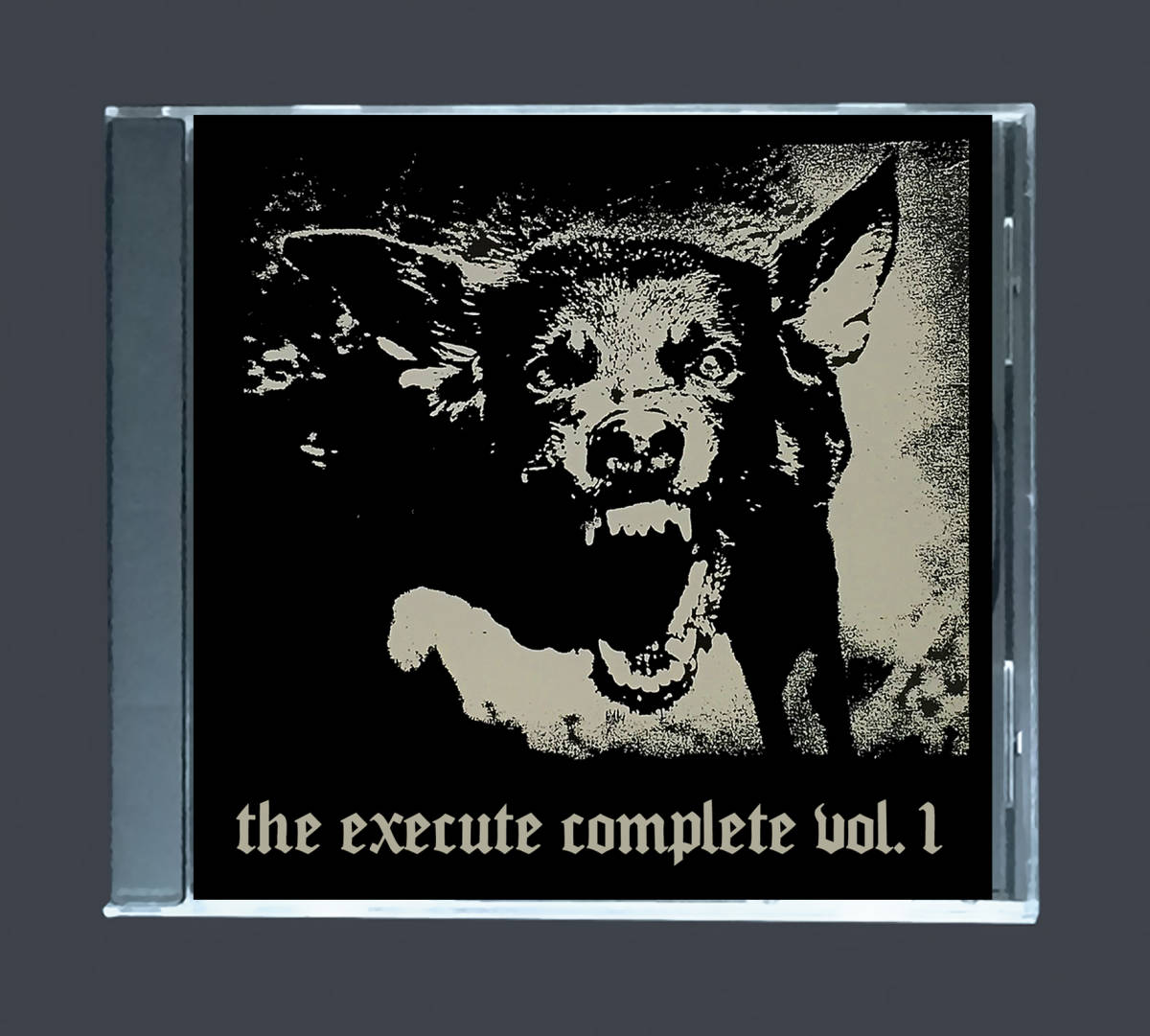 ジャンク】 THE EXECUTE 「SAVE YOUR MONEY」 LPレコード GRAVE 3302