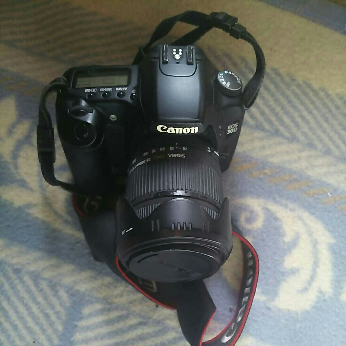 Canon EOS 5 + SIGMA 28-300mmレンズ Canon EOS 5 + SIGMA 28-300mm