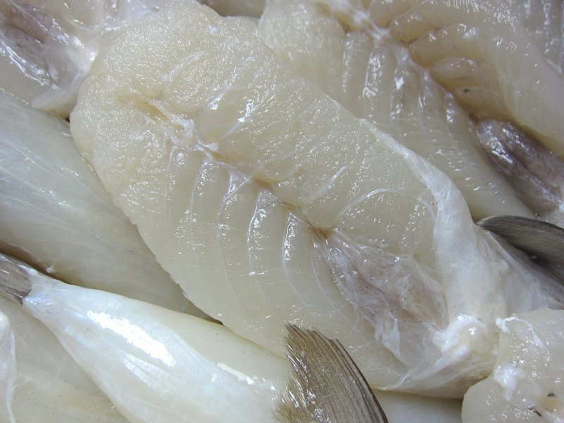 10kg 白サバフグ みがき1kg 皮無 ドレス 10 15尾入り 鍋や唐揚に是非 フグ 売買されたオークション情報 Yahooの商品情報をアーカイブ公開 オークファン Aucfan Com