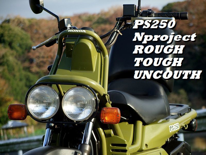 Ps250 後期丸目2灯モデル Mf09 のグリーン 絶版 車種 タイヤ 交換済み ホンダ Honda ビッグスクーター 126cc 250cc 売買されたオークション情報 Yahooの商品情報をアーカイブ公開 オークファン Aucfan Com