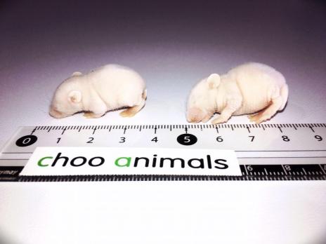 国産冷凍ピンクマウスL 100匹 送料無料 冬継国産 冷凍マウスピンクL100匹、