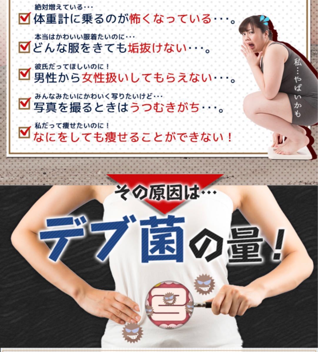 値引【TVで話題のダイエットビックリ大特価！】痩せ菌ダイエットに効くエルフィング2パック_4