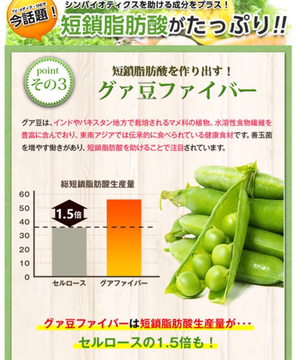 値引【TVで話題のダイエットビックリ大特価！】痩せ菌ダイエットに効くエルフィング2パック_6