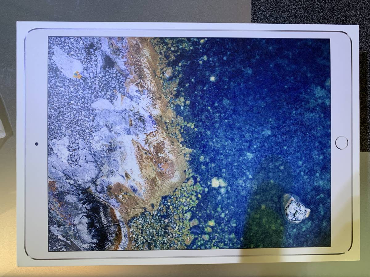 Apple iPad Pro 10.5インチ Cellular 256GB シルバー（docomo ドコモ