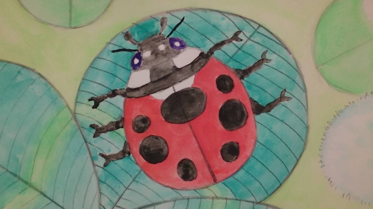 B5サイズオリジナル手描きイラスト シロツメクサとナナホシテントウ 手描きイラスト 売買されたオークション情報 Yahooの商品情報をアーカイブ公開 オークファン Aucfan Com