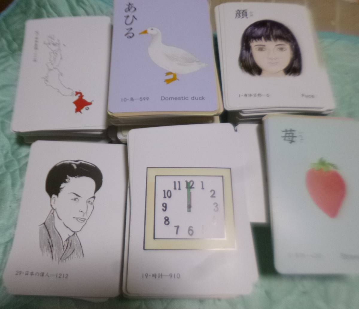 家庭保育園 絵カード1500枚 家庭保育園 たのしい絵カード1500 